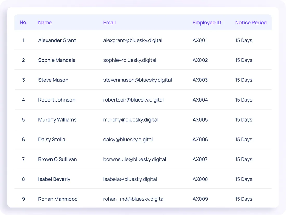 Balances & accruals — ConnectSimpli